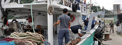 2013-2014 balık sezonunun açılmasıyla ''Vira Bismillah'' diyerek denizlere açılan balıkçılar tekneler dolusu balıkla av sezonunu açtı.