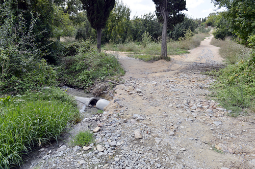 Korunun ortasnda bir dere var ve lam akyor.