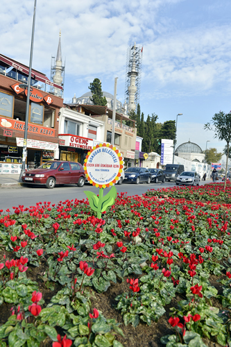 skdar Hkimiyet-i Milliye Caddesi'nin orta refjlerine yaklak 13 bin adet Siklamen iei ekildi.