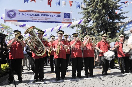 skdar, Mor Salkmlarla enlendi