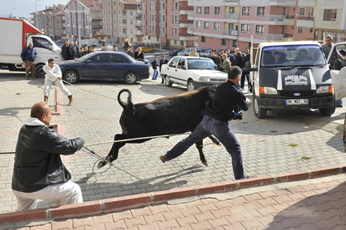 skdar'dan Kurban Bayram Manzaralar