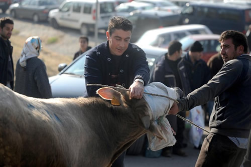 skdar'dan Kurban Bayram Manzaralar