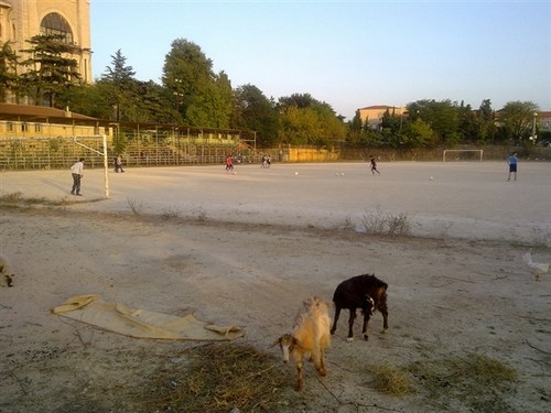 Haydarpaa Stad'nn hali iler acs