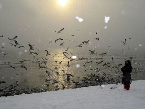 stanbul`un grlecek ve yaanacak 100 yeri