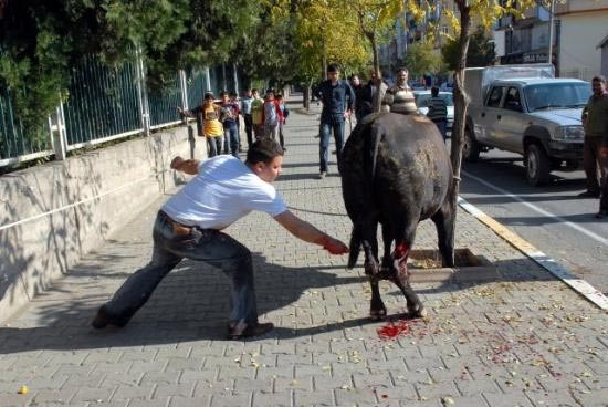 Kurban vahetinin cezas akland