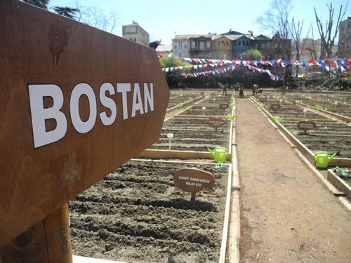 skdar Belediyesi'nin Kuzguncuk Bostan Projesi' kapsamnda bostan olarak belirlenen ve ekime hazr hale getirilen dikim alanna, gerekletirilen ?Kuzguncuk Bostan Bahar enlii' etkinliiyle domates, biber ve patlcan tohumu ekildi.