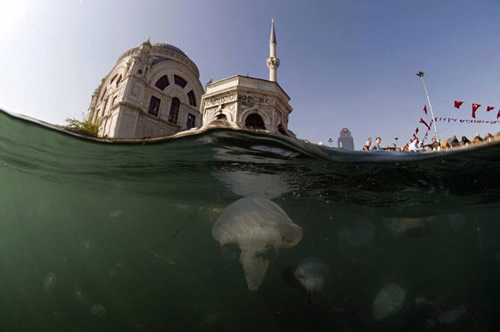 Meraklsna 'Balk Gznden stanbul Boaz'