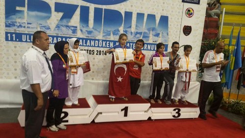 11. Uluslararas Palandken Karate Turnuvas 2014