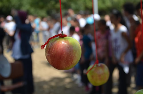 Bilgi Evleri, 2012 Eitlence (Eitim-Elence) Yaz Okulu Piknii