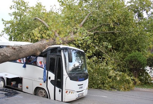 Üsküdar'da etkili olan fırtına ağaçları devirdi