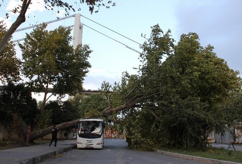 skdar'da frtna aalar devirdi