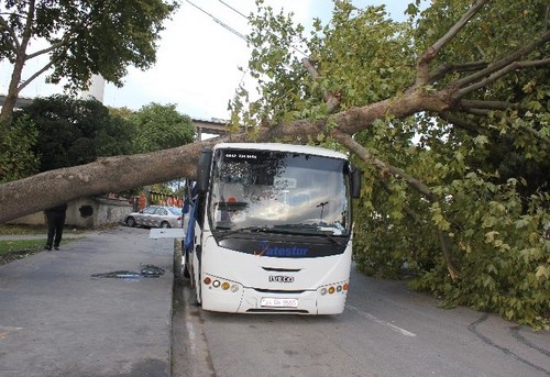 skdar'da frtna aalar devirdi