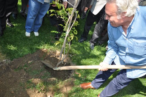 skdar 9. Mor Salkm Erguvan ve Mimoza enlii