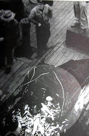 skdar deniz facias 1958