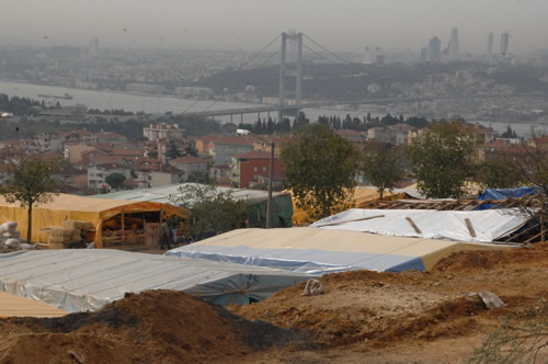 skdar, Kurban Bayram'na hazr!..