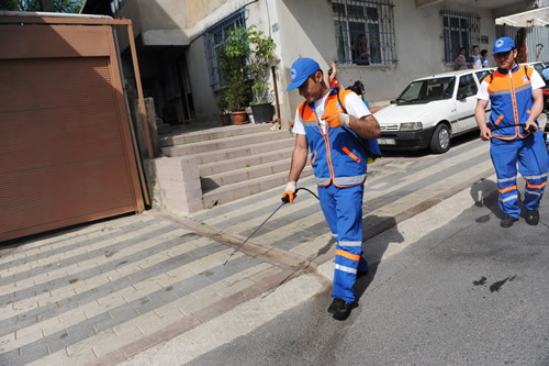 skdar'da Bahar Temizlii Balad