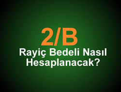 2-B rayi bedelinde deiiklik!