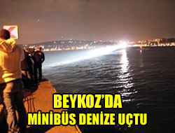 Beykoz'da bir minibs denize utu