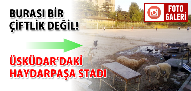 Buras skdar'da bir iftlik deil, Haydarpaa stad!