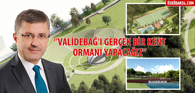 Hilmi Türkmen: ''Validebağ'ı Gerçek Bir Kent Ormanı Yapacağız''