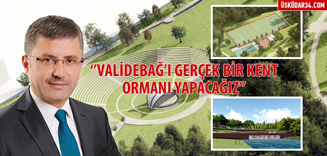 Hilmi Trkmen: ''Valideba' Gerek Bir Kent Orman Yapacaz''