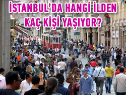 İstanbul'da hangi ilden kaç kişi yaşıyor?