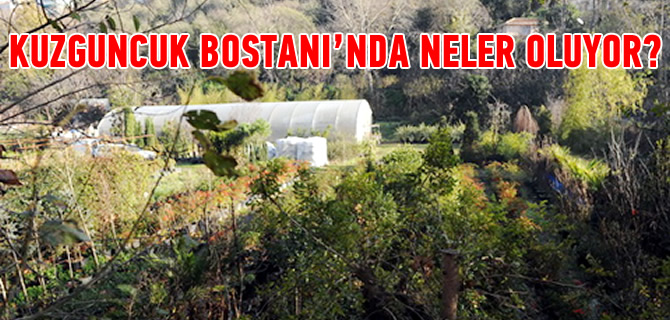 Kuzguncuk Bostan'nda neler oluyor?