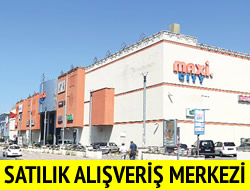 Maxi AVM Satla karld