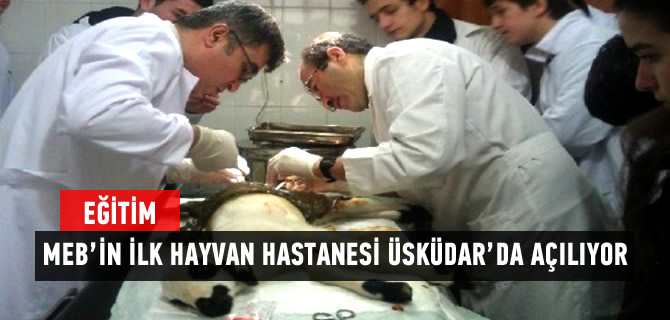 MEB'in ilk hayvan hastanesi skdar'da alyor