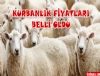 Diyanet, bu seneki kurbanlk fiyatlarn aklad