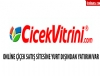 Online iek sat sitesine yurt dndan yatrm var