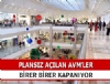 Plansz alan AVM'ler birer birer kapanyor