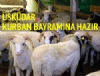 skdar Kurban Bayram'na Hazr