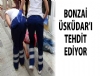 skdar'da Bonzai tehlikesi byyor