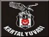 skdar'da Kartal Yuvas ald