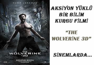 Wolverine 3D