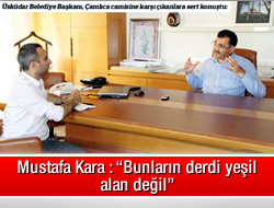 ''Bunlarn derdi yeil alan deil''