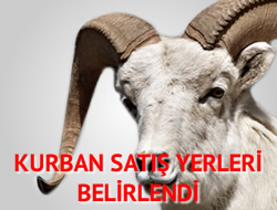 2012 ylnn Kurban sat yerleri belirlendi