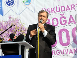 Bakan Erolu, skdar'da 5 bin Erguvan datm programna katld