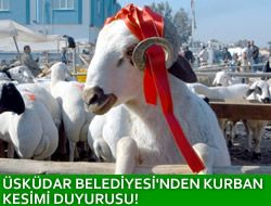 skdar Belediyesi Kurban Kesimi Duyurusu