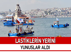 Boaziinde Lastiklerin Yerini Yunuslar Ald