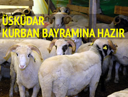 skdar Kurban Bayram'na Hazr