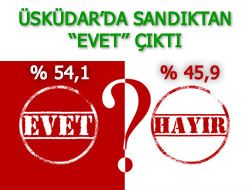 skdar ''Evet'' dedi. Anketimiz tuttu.