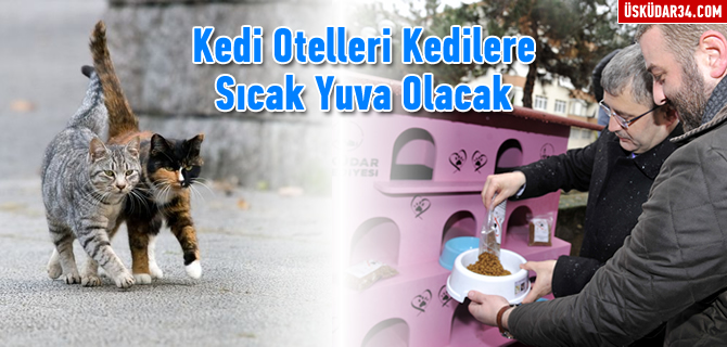 Yeni yla yeni evlerinde girdiler