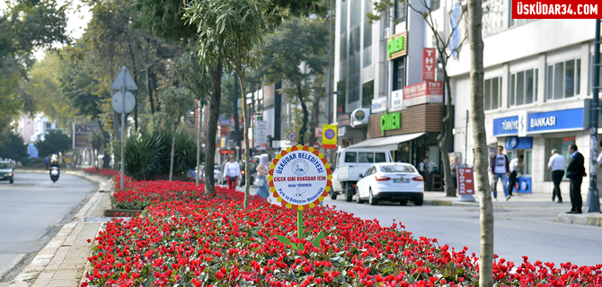 Üsküdar'ın caddeleri çiçek açtı
